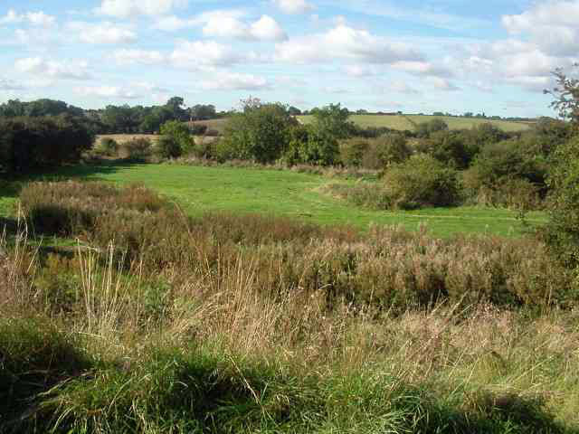 Keyworth Meadow