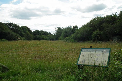 Wilwell Farm Cutting